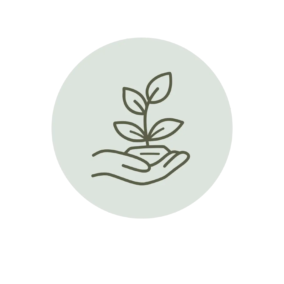 growth2-1789069796123.webp